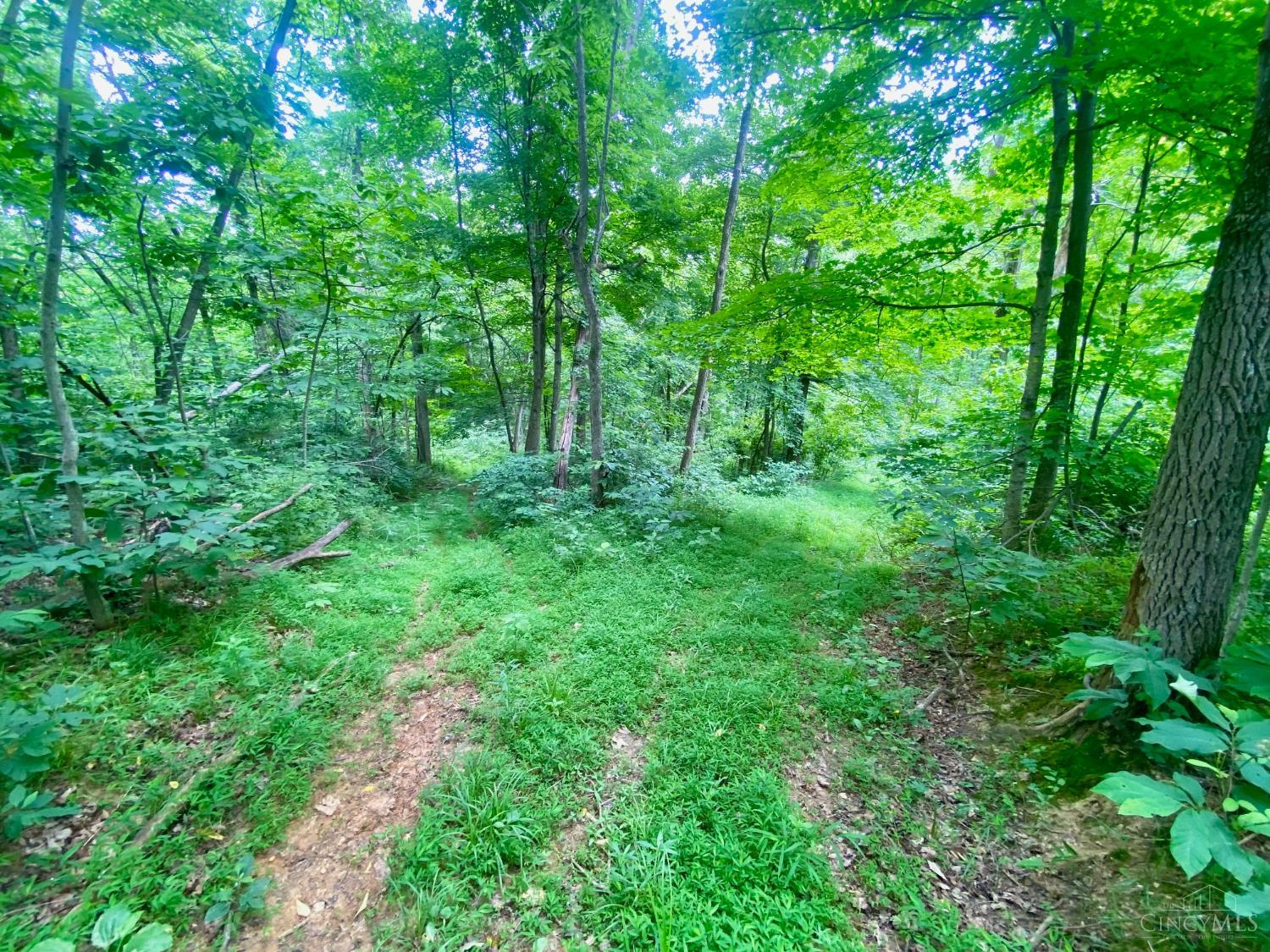 400 Lynn Morgan Road, Seaman, OH, 45679 — photo 12