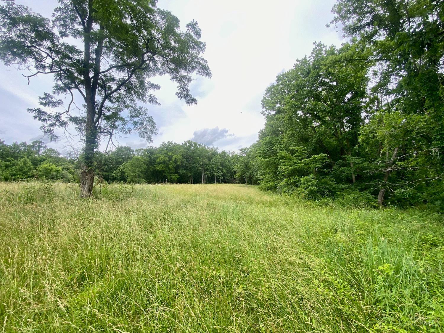 400 Lynn Morgan Road, Seaman, OH, 45679 — photo 2