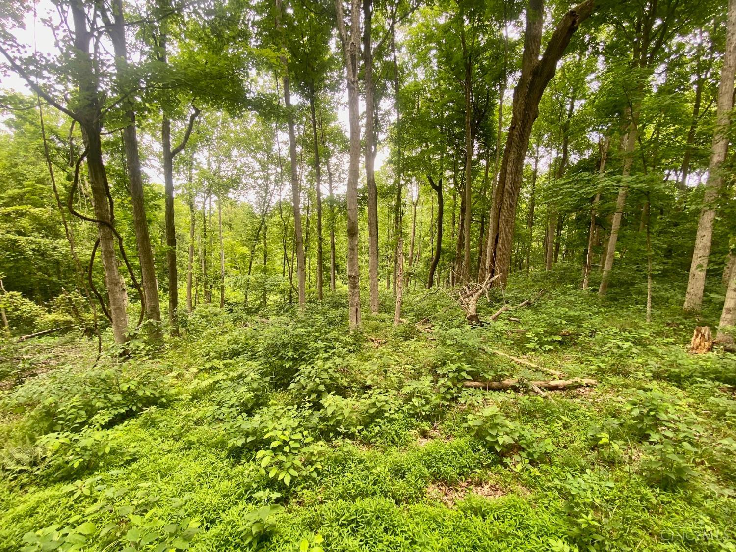 400 Lynn Morgan Road, Seaman, OH, 45679 — photo 10