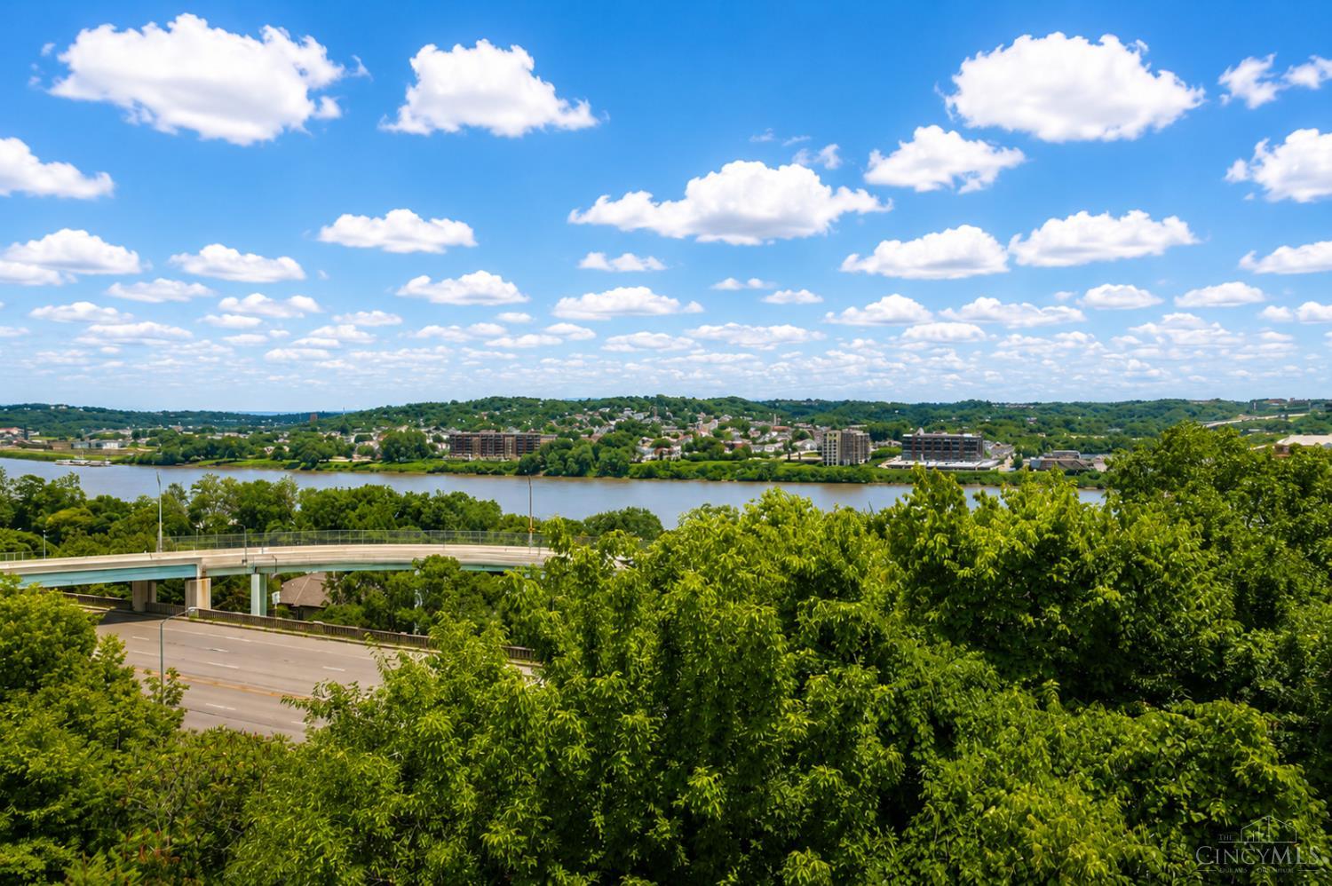 1003 Hill Street, Cincinnati, OH, 45202 — photo 14