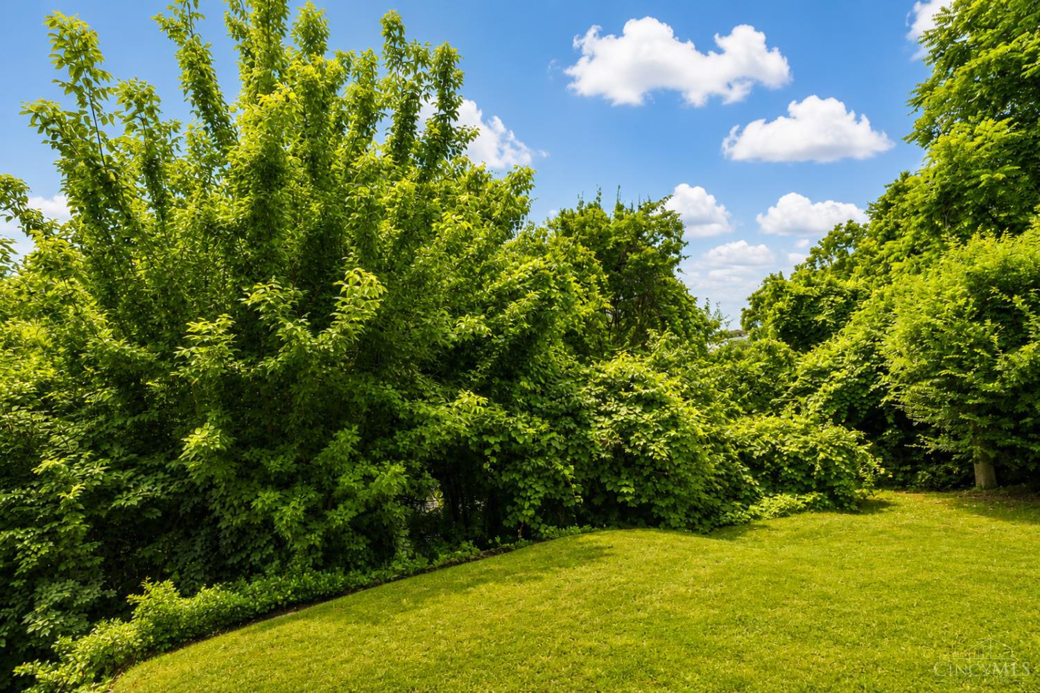 1003 Hill Street, Cincinnati, OH, 45202 — photo 40