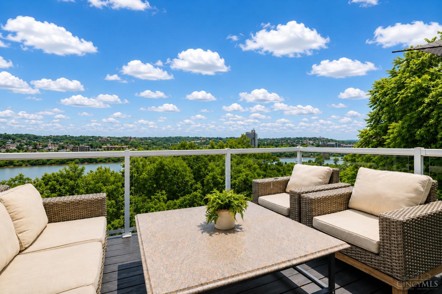 1003 Hill Street, Cincinnati, OH, 45202 — photo 12