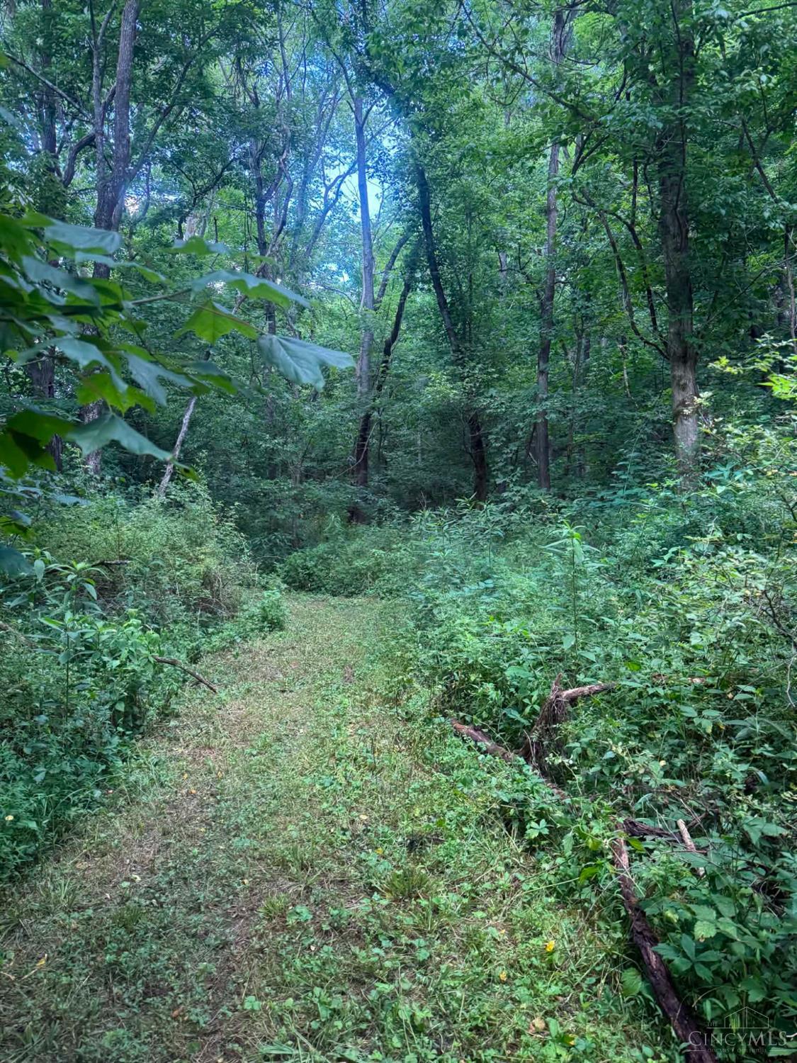 285 Powers Lane, West Union, OH, 45693 — photo 21