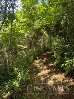 285 Powers Lane, West Union, OH, 45693 — photo 19