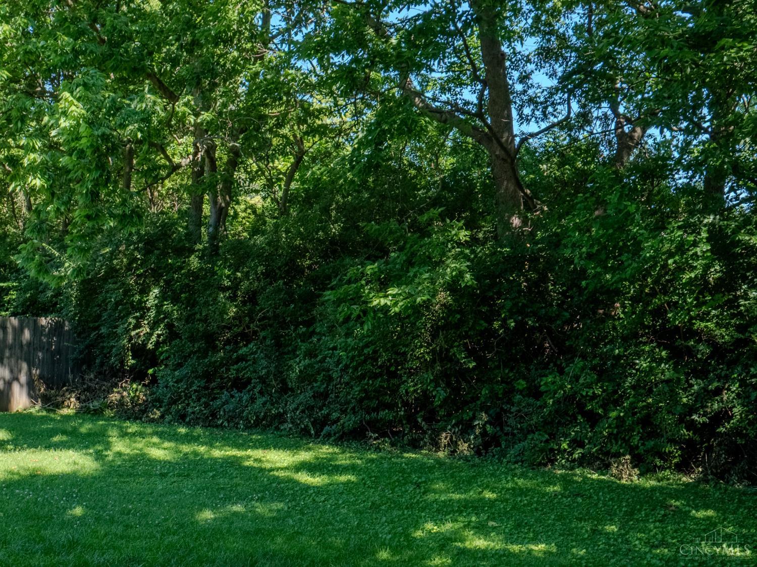 2432 Bracebridge Drive, Colerain Twp, OH, 45231 — photo 22