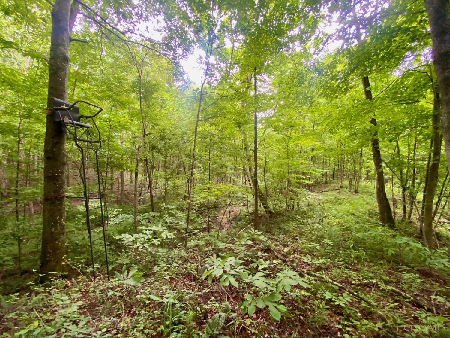 400 Lynn Morgan Road, Seaman, OH, 45679 — photo 16