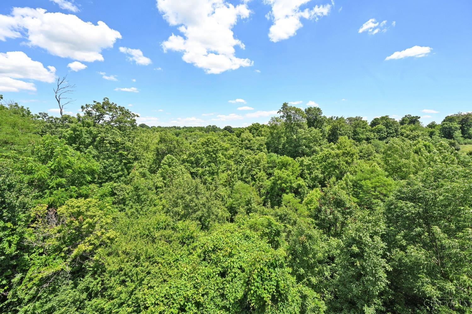 4941 Arbor Woods Court #308, Green Twp, OH, 45248 — photo 37