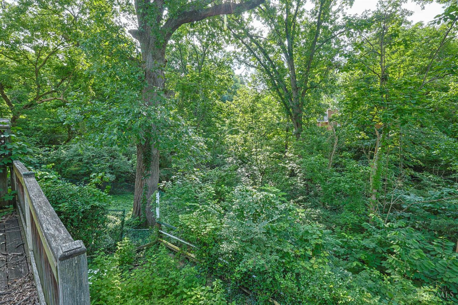 558 Missouri Avenue, Cincinnati, OH, 45226 — photo 28