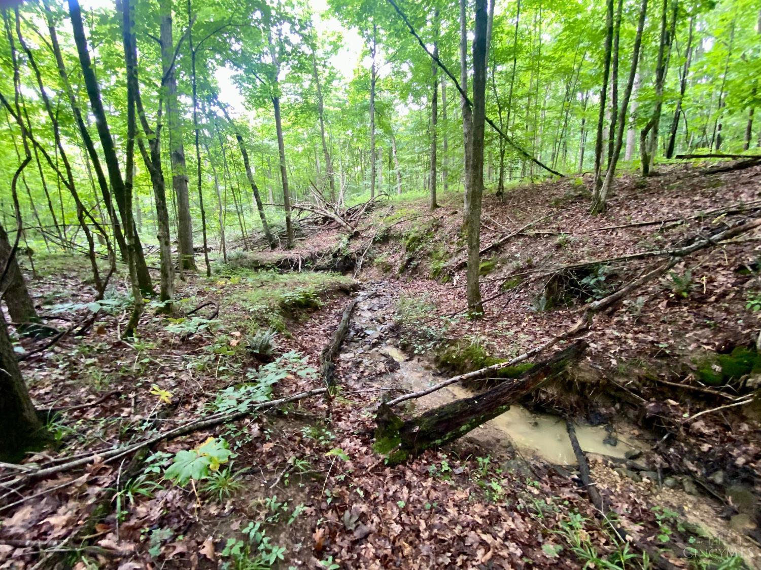 400 Lynn Morgan Road, Seaman, OH, 45679 — photo 15