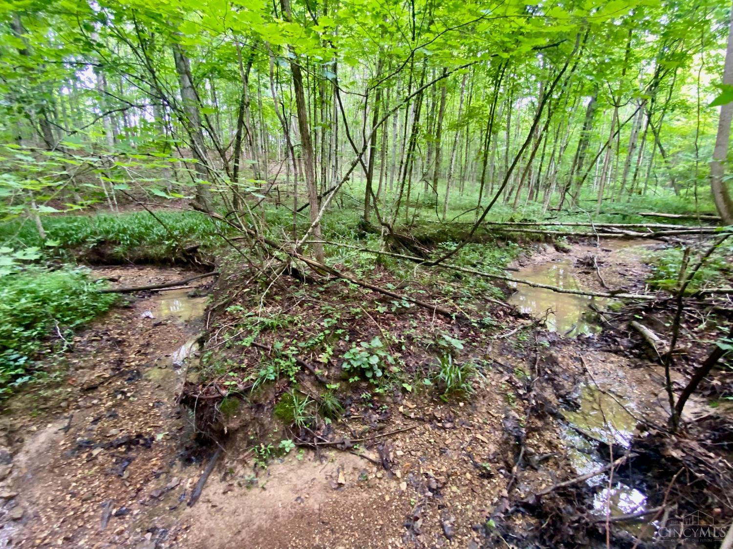 400 Lynn Morgan Road, Seaman, OH, 45679 — photo 18
