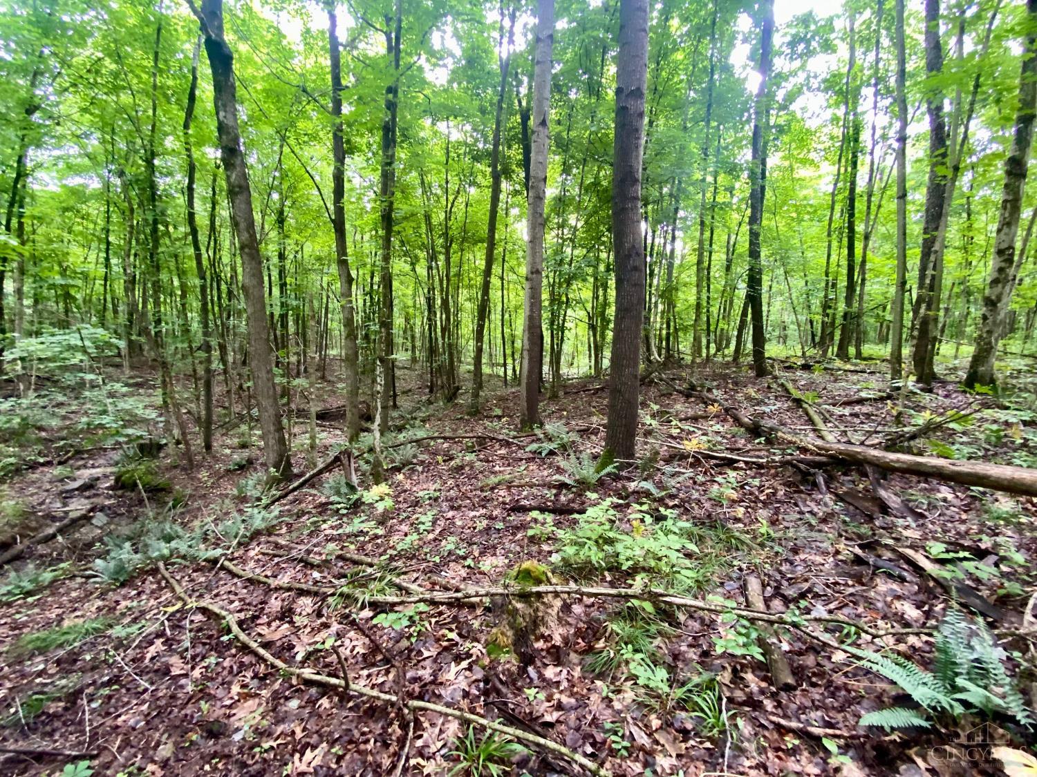 400 Lynn Morgan Road, Seaman, OH, 45679 — photo 14