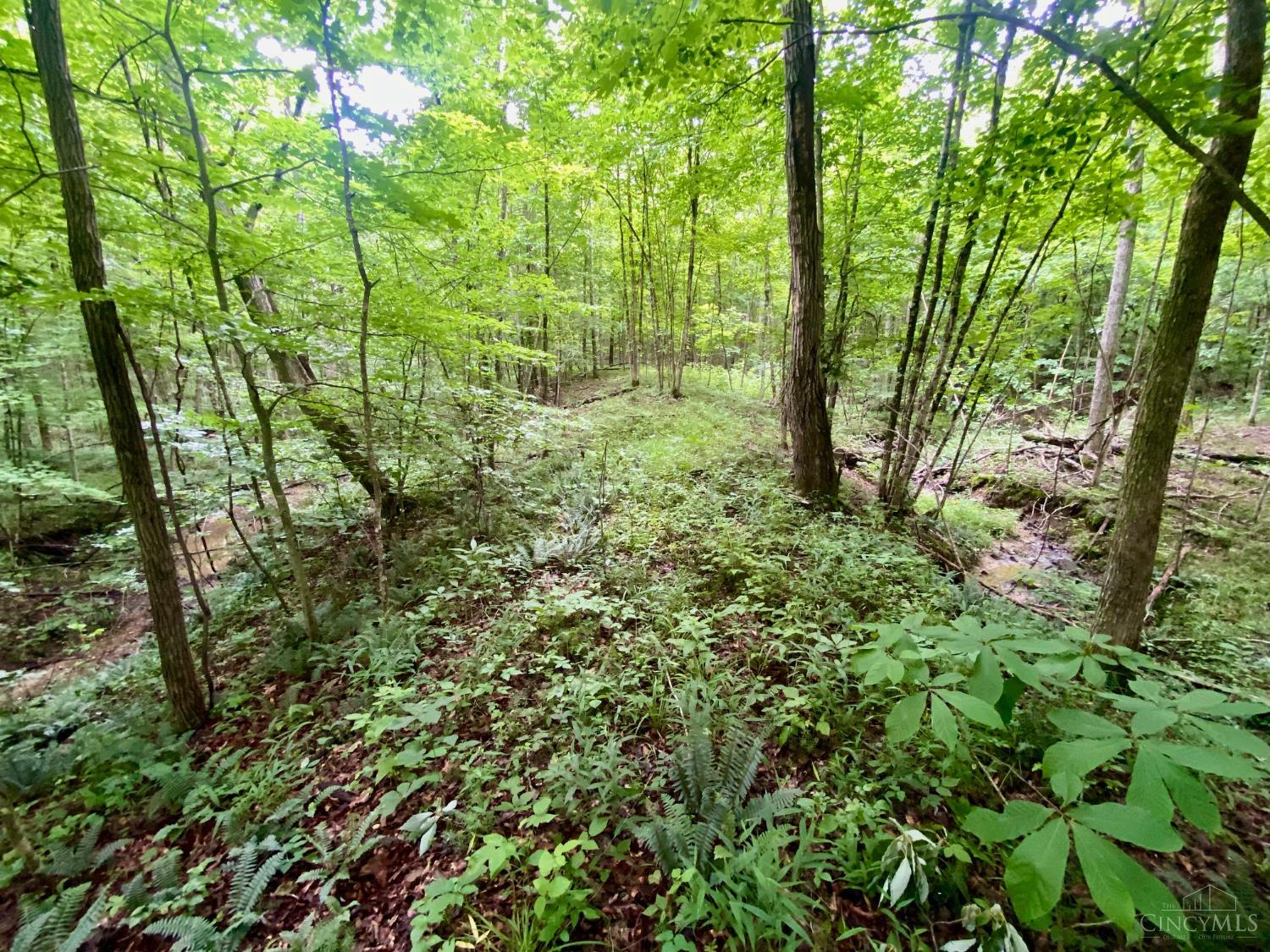 400 Lynn Morgan Road, Seaman, OH, 45679 — photo 17