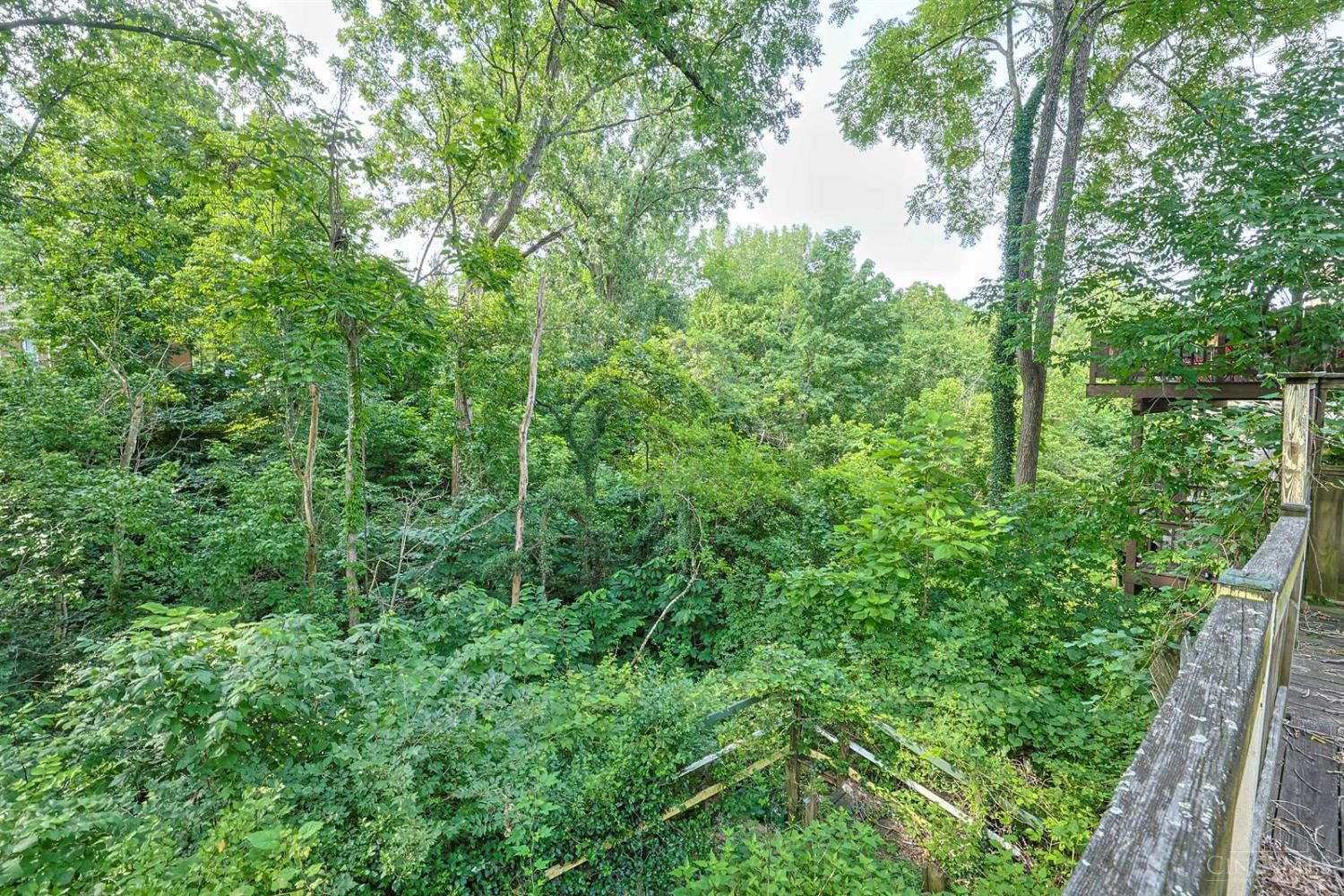 558 Missouri Avenue, Cincinnati, OH, 45226 — photo 27