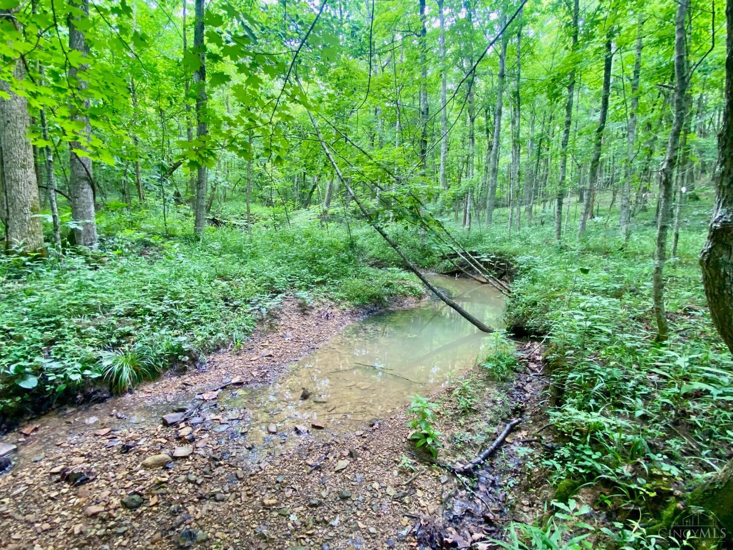 400 Lynn Morgan Road, Seaman, OH, 45679 — photo 22