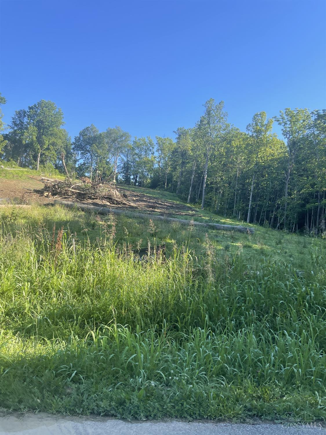 Pond Run Road, Pierce Twp, OH, 45157 — photo 3