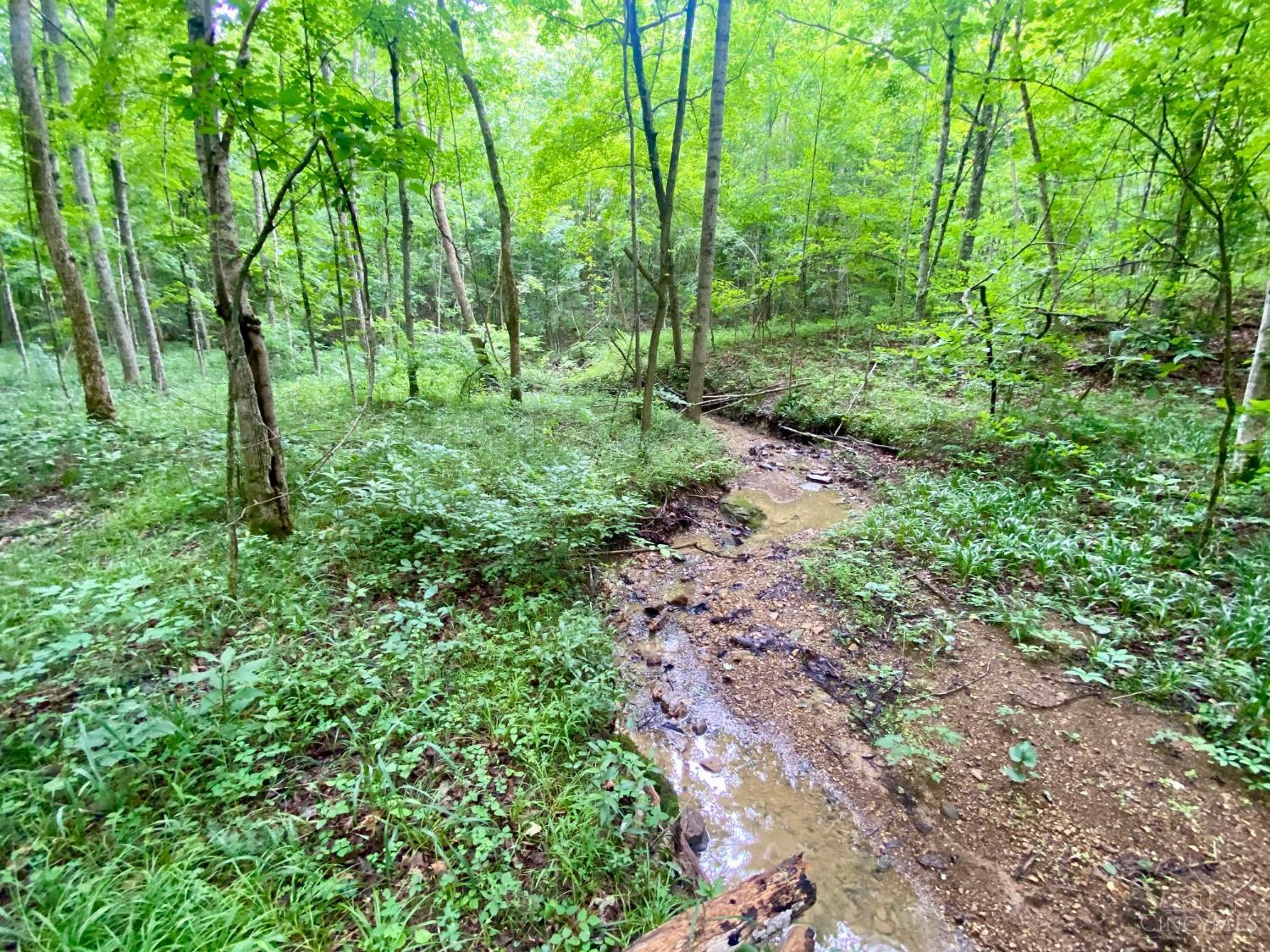 400 Lynn Morgan Road, Seaman, OH, 45679 — photo 20