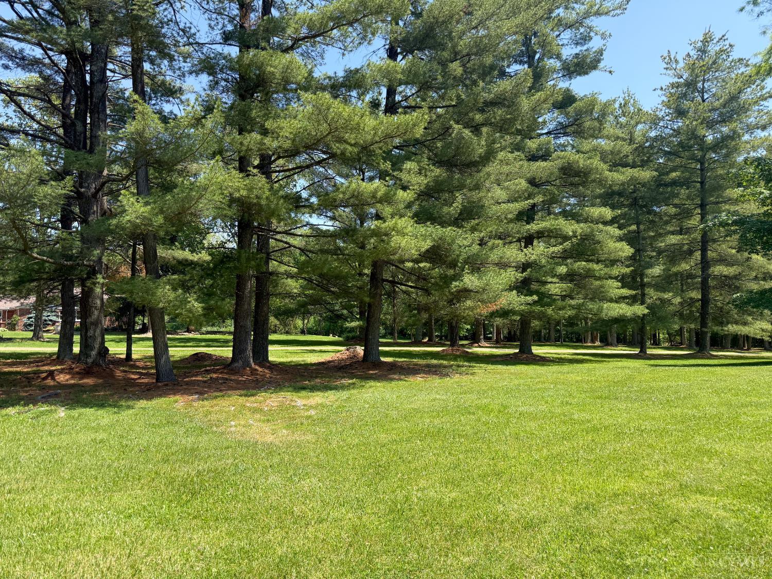 3911 Campbell Road, Perry Twp, OH, 45118 — photo 76