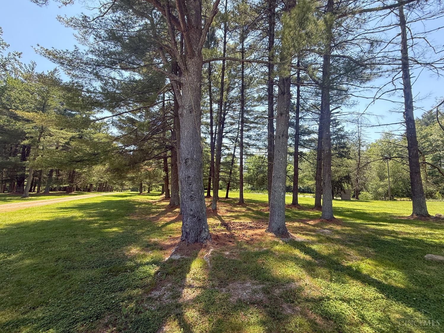 3911 Campbell Road, Perry Twp, OH, 45118 — photo 77