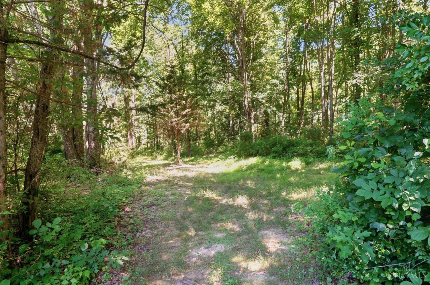 6650 Simons Lane, Goshen Twp, OH, 45140 — photo 70