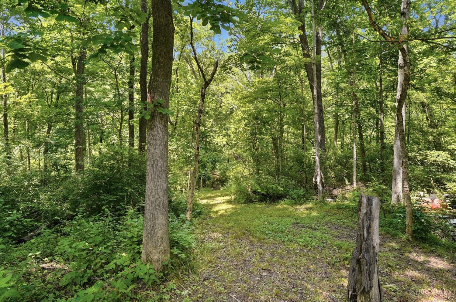 4455 Burnham Woods Drive, Middletown, OH, 45005 — photo 68