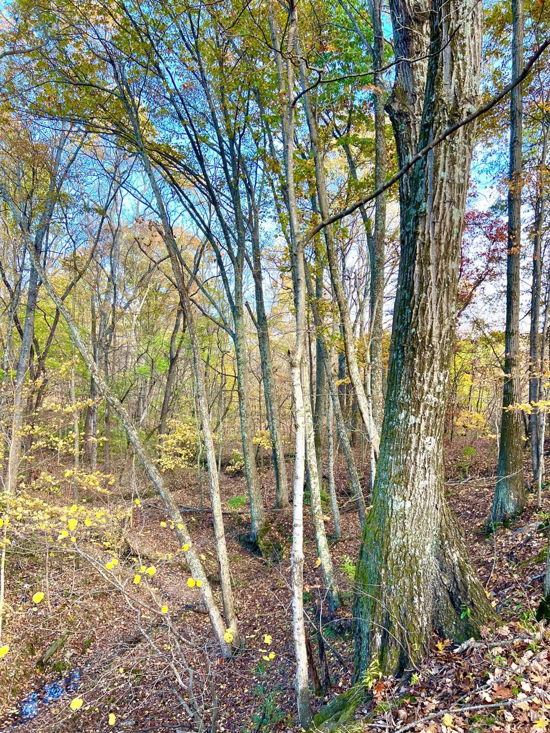 872 Mullen Road, Washington Twp, OH, 45153 — photo 27