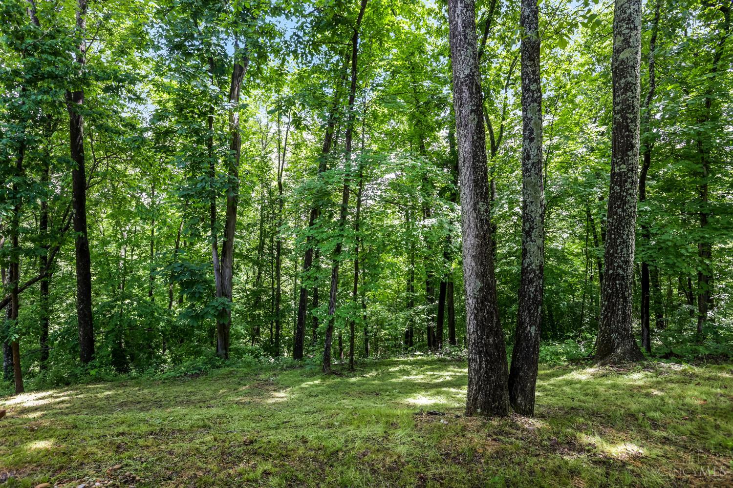 25089 Chapel Ridge Road, Benton Twp, OH, 43152 — photo 53