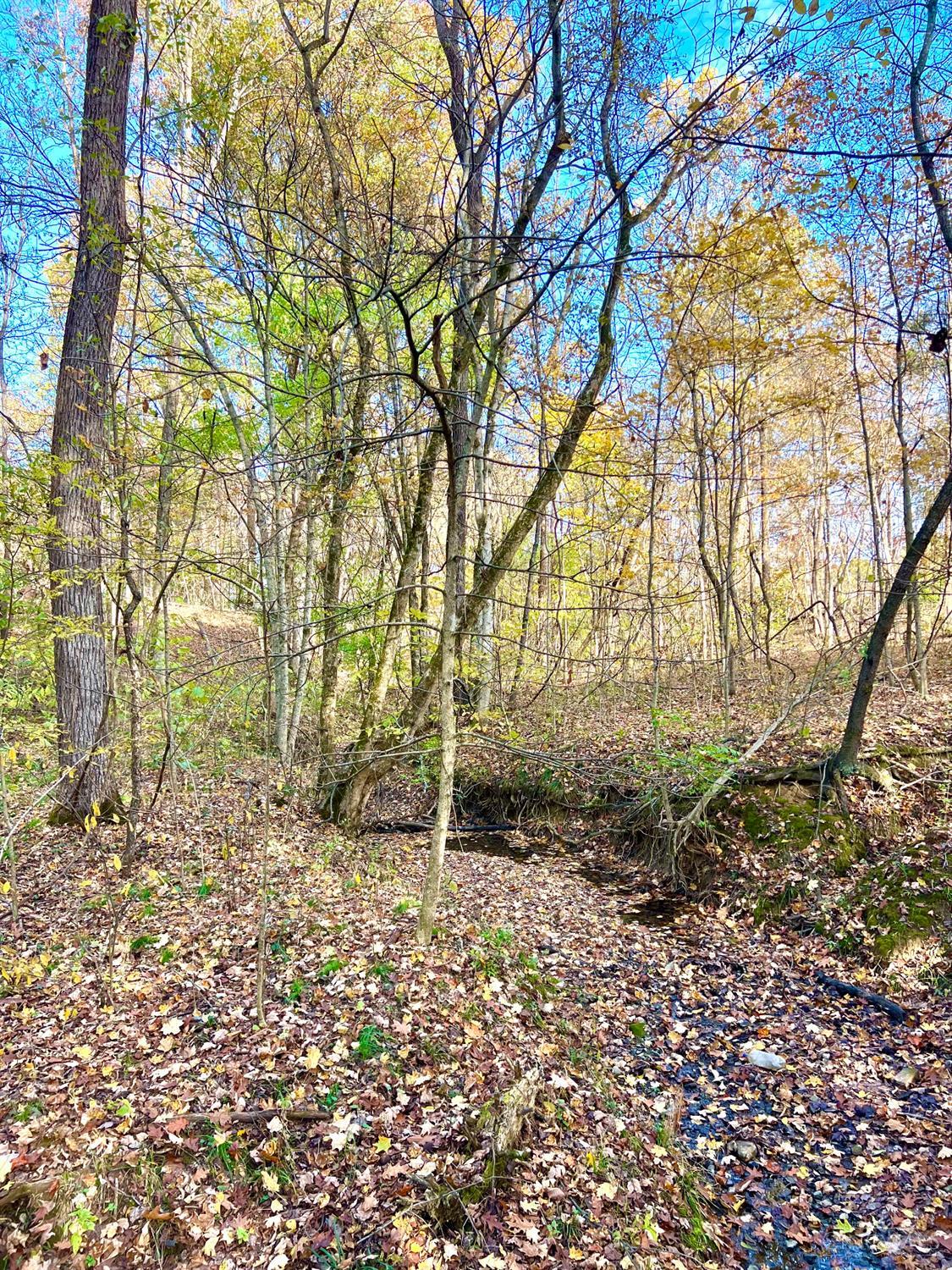 872 Mullen Road, Washington Twp, OH, 45153 — photo 28