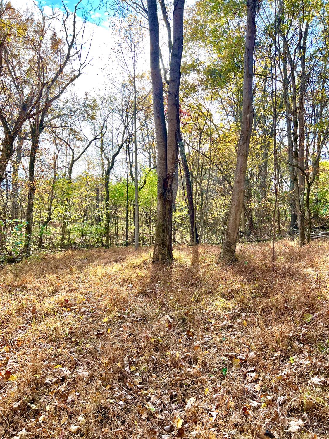 872 Mullen Road, Washington Twp, OH, 45153 — photo 11