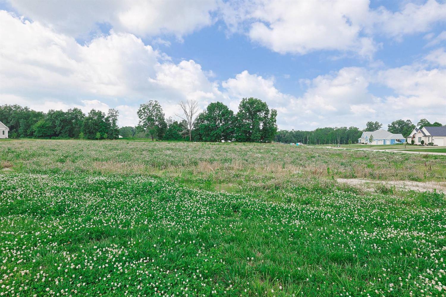 Homes for sale in Goshen Twp, OH | 6651 Saddleback Wy #Lot13, Goshen Twp, OH 45140 | MLS# 1885018