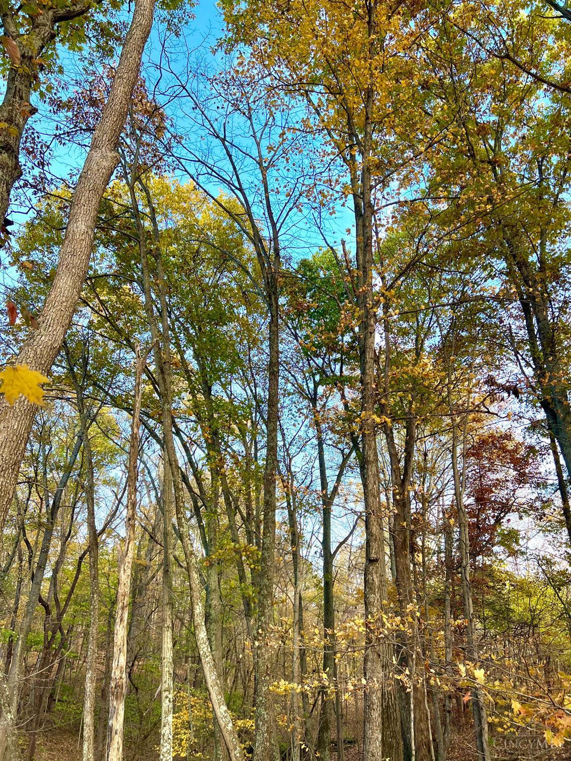 872 Mullen Road, Washington Twp, OH, 45153 — photo 26