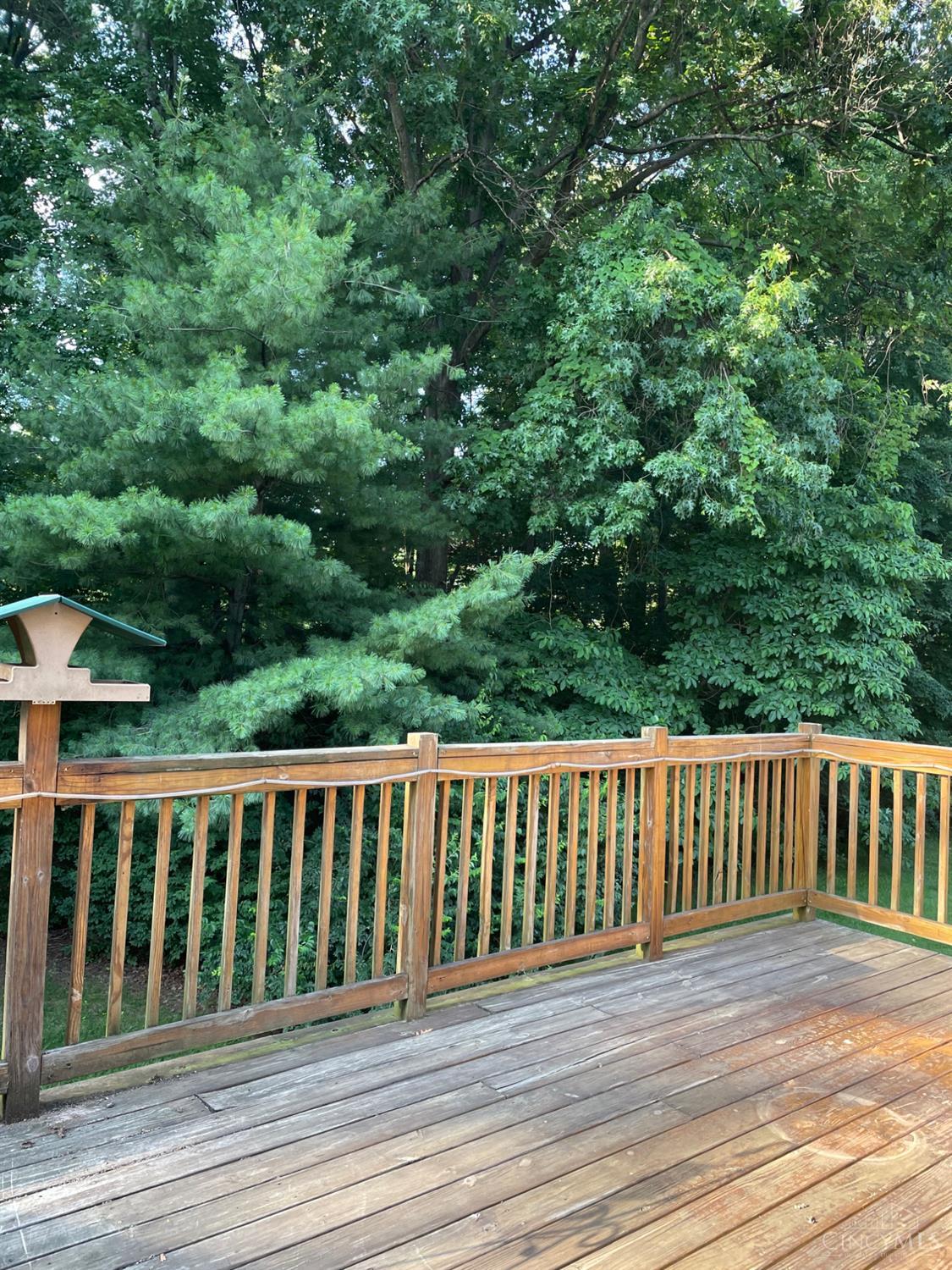 1138 Chestnut Court, Union Twp, OH, 45245 — photo 2