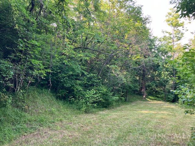 233 Felicity Cedron Rural Road, Franklin Twp, OH, 45121 — photo 4