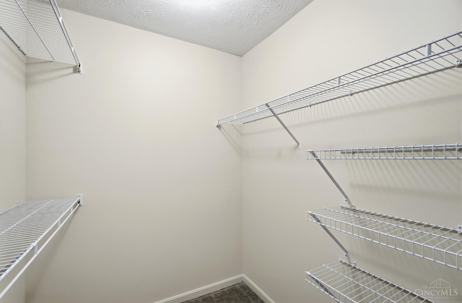 12071 Carrington Lane #101, Symmes Twp, OH, 45140 — photo 31