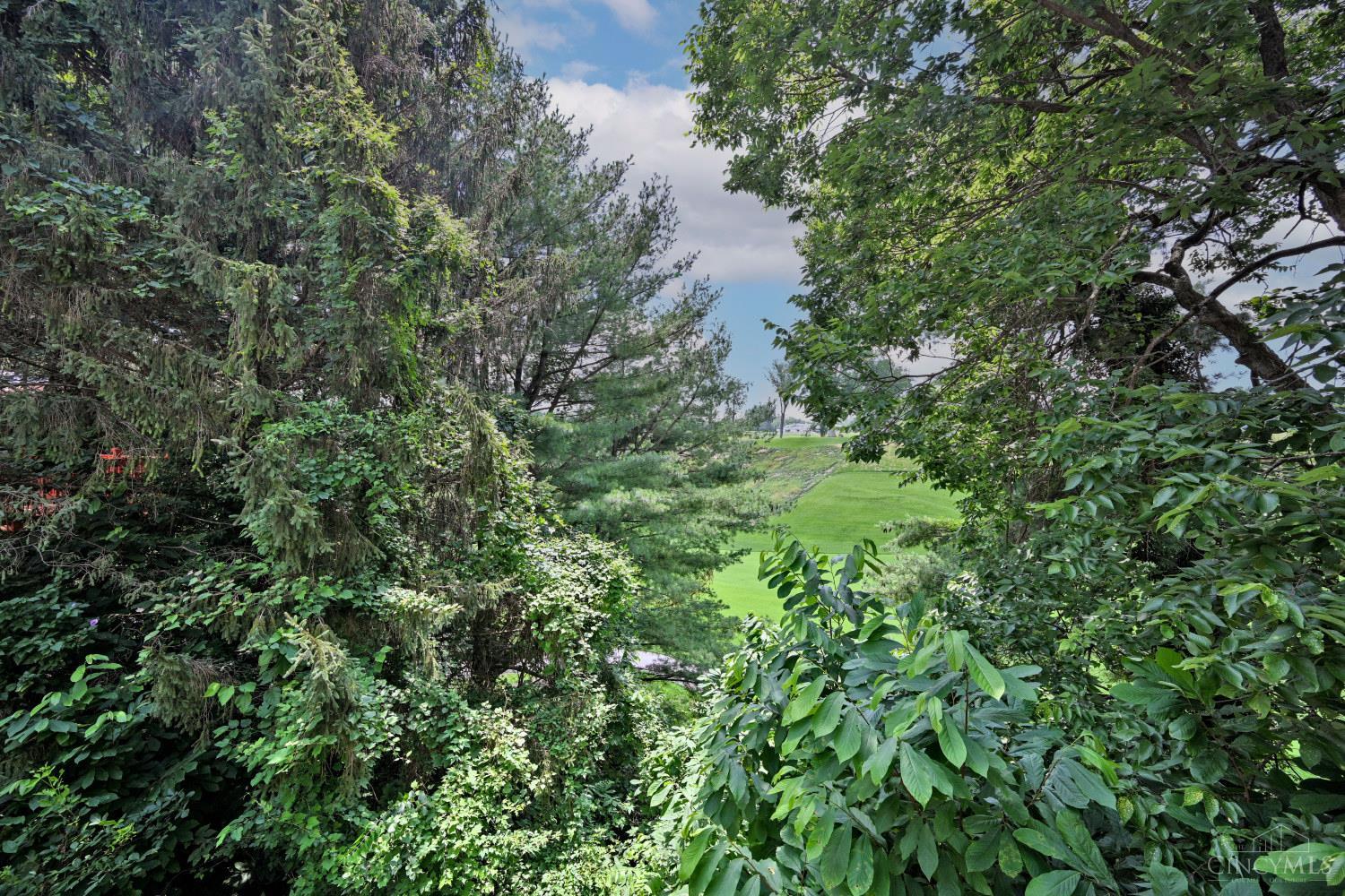 3551 Rawson Place, Cincinnati, OH, 45209 — photo 34