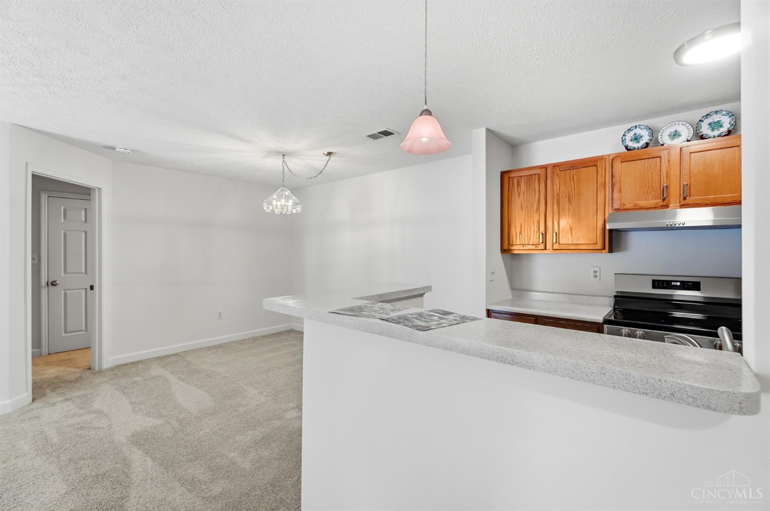 12071 Carrington Lane #101, Symmes Twp, OH, 45140 — photo 13