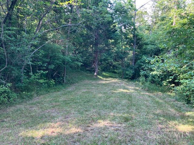 233 Felicity Cedron Rural Road, Franklin Twp, OH, 45121 — photo 3