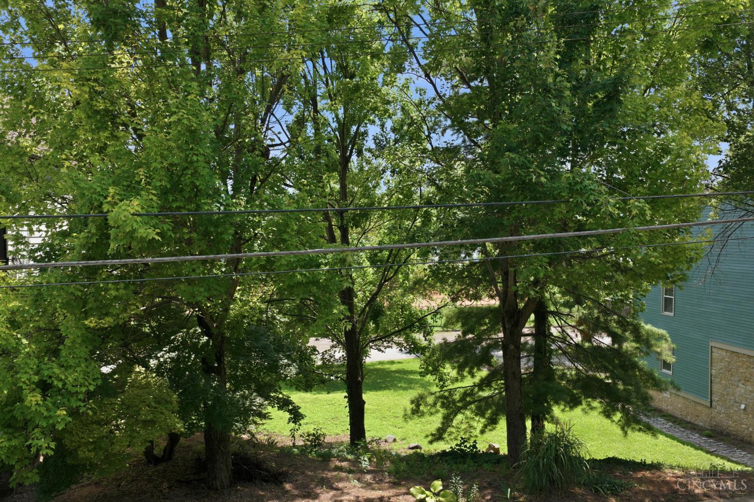 3039 Riverside Drive, Cincinnati, OH, 45226 — photo 8