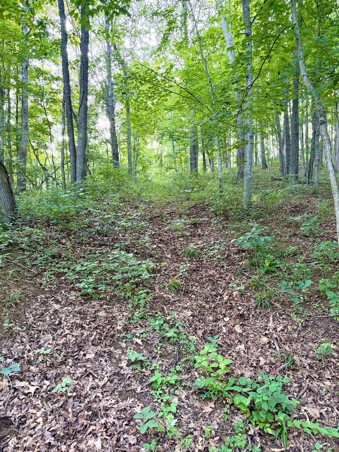 Carrs Run, Jackson Twp, OH, 45613 — photo 16