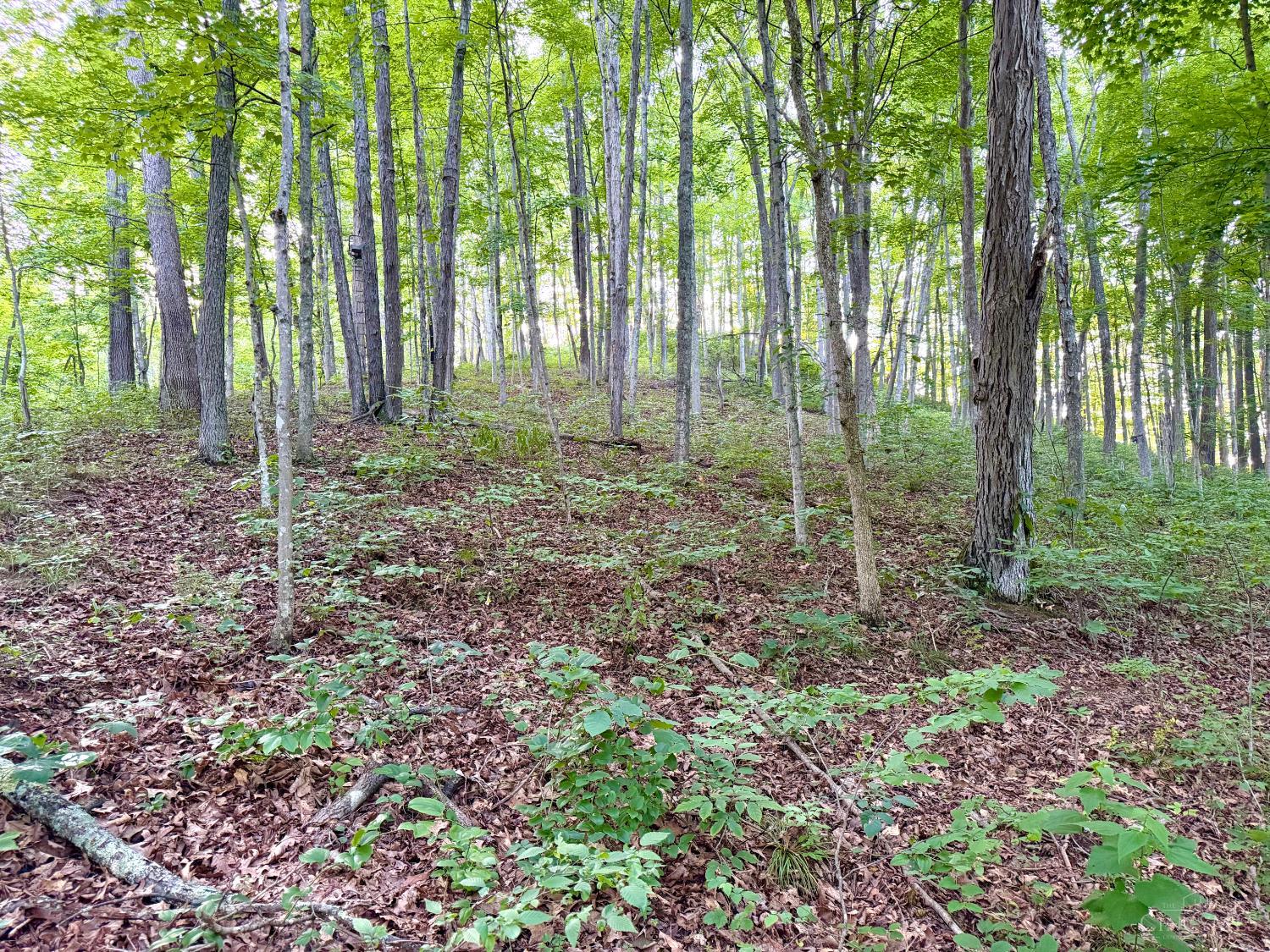 Carrs Run, Jackson Twp, OH, 45613 — photo 18