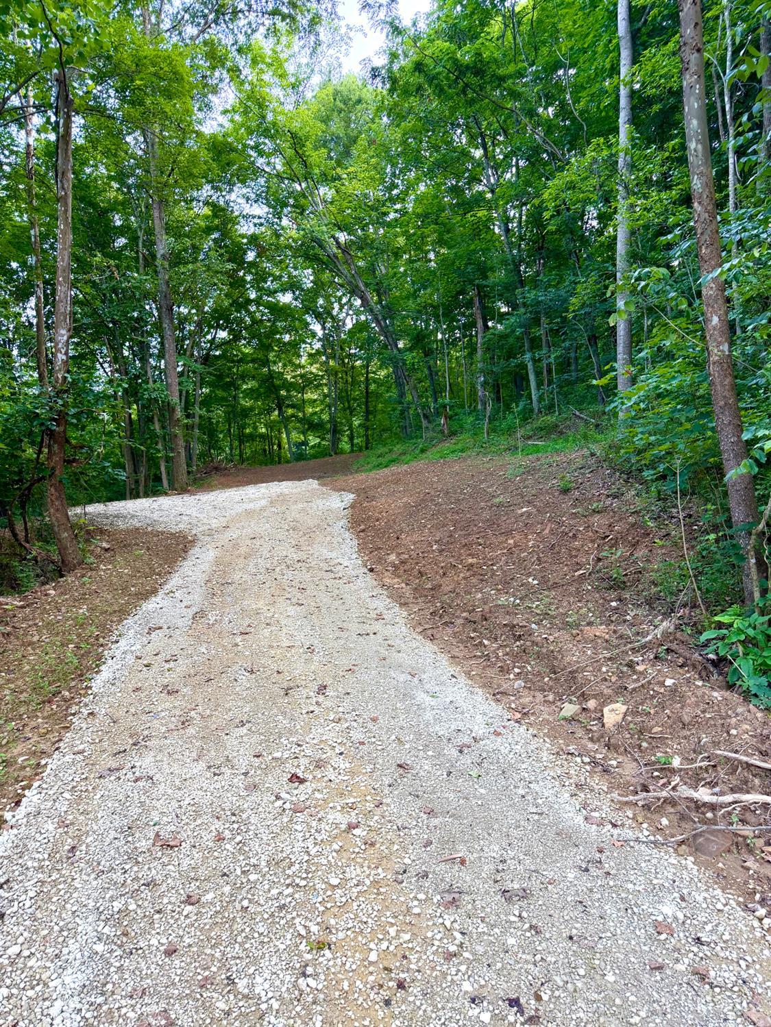 Carrs Run, Jackson Twp, OH, 45613 — photo 10