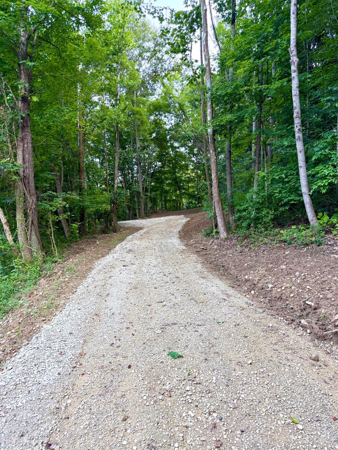Carrs Run, Jackson Twp, OH, 45613 — photo 7