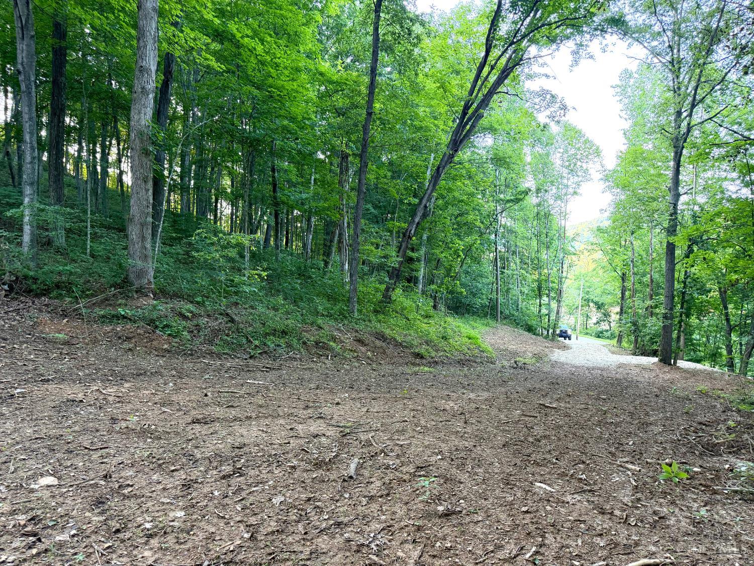 Carrs Run, Jackson Twp, OH, 45613 — photo 2