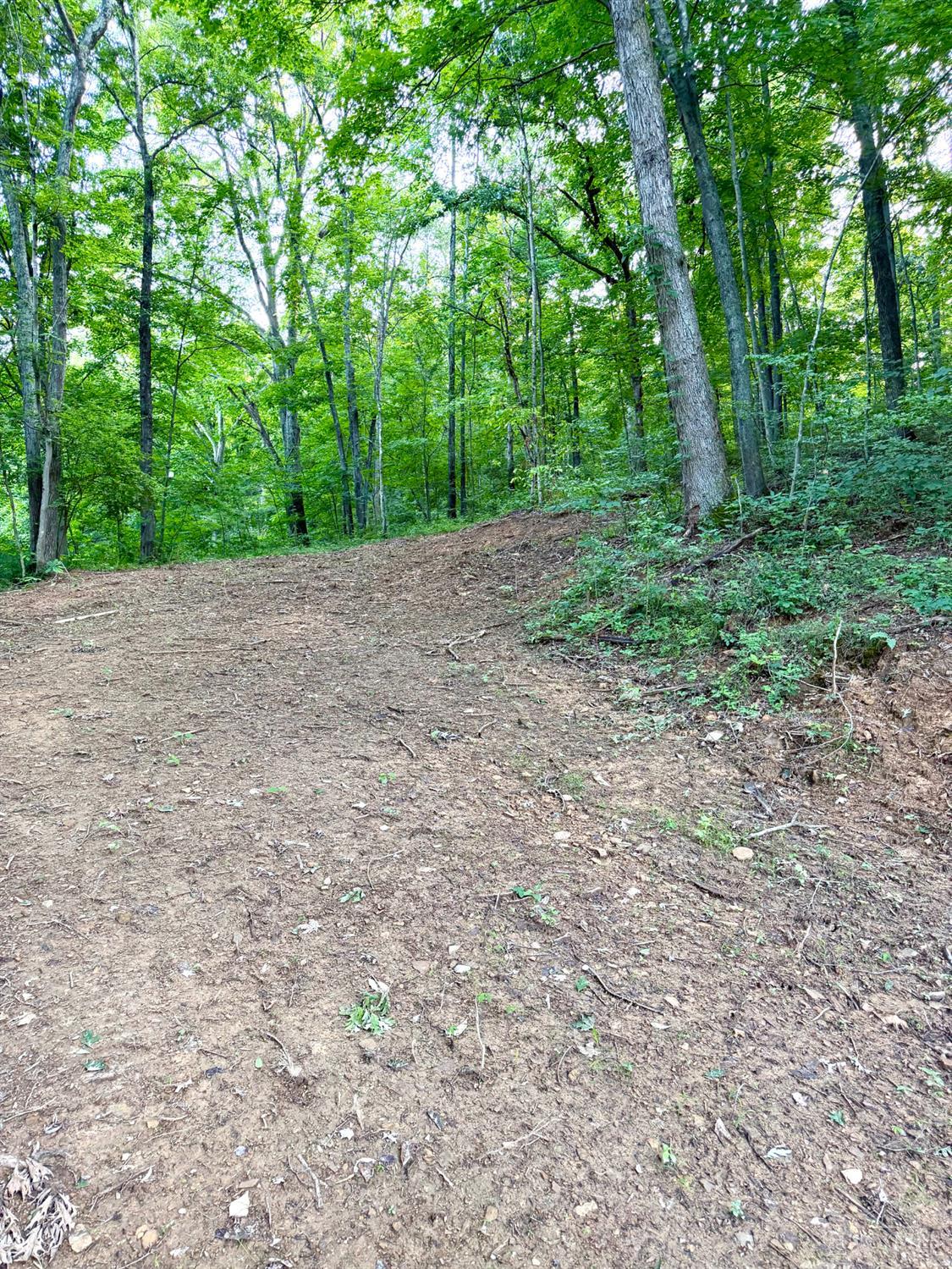 Carrs Run, Jackson Twp, OH, 45613 — photo 13