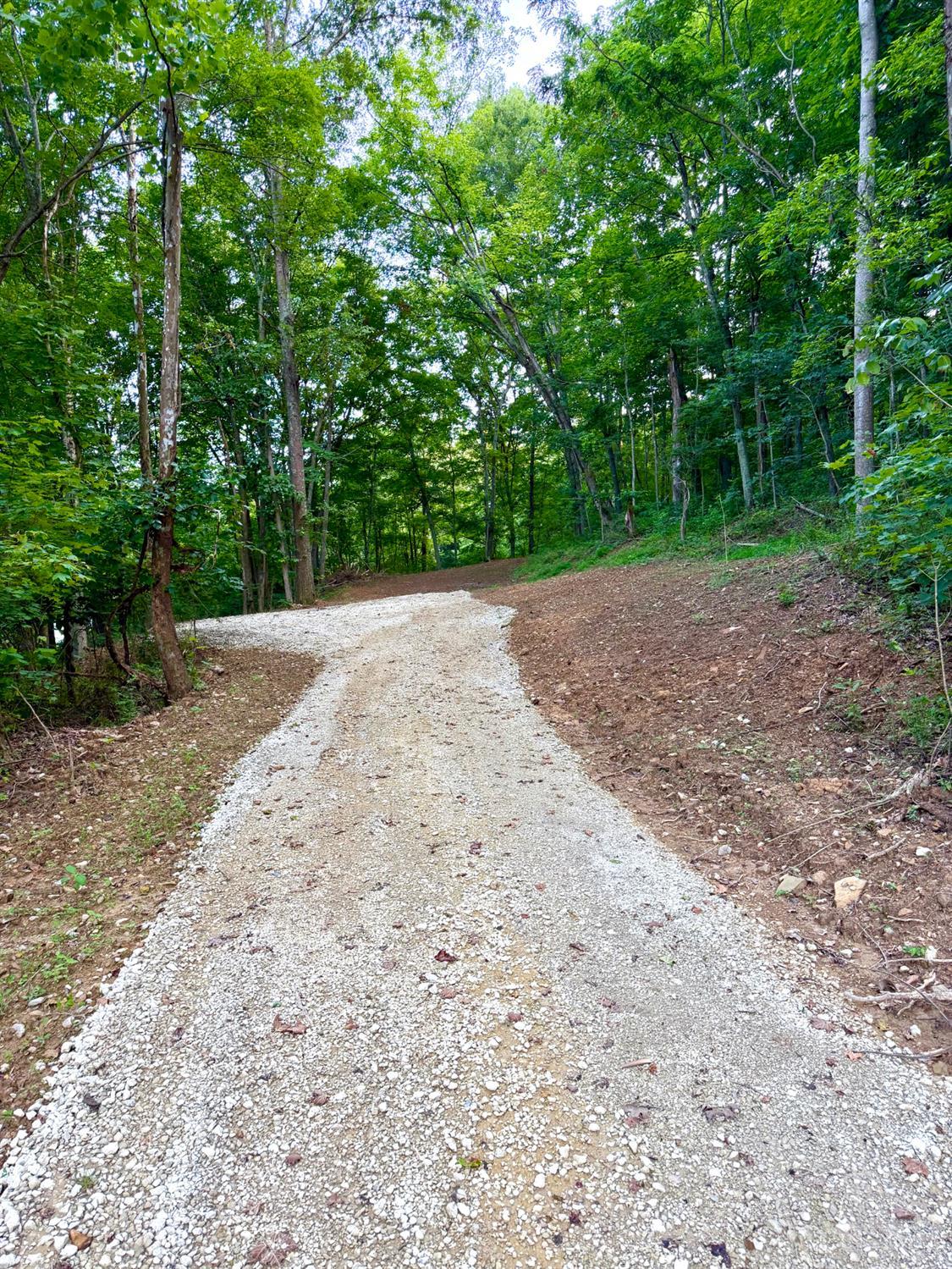 Carrs Run, Jackson Twp, OH, 45613 — photo 8