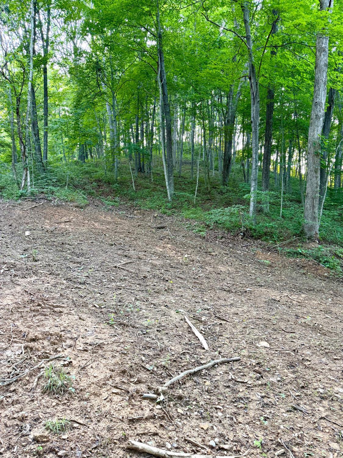 Carrs Run, Jackson Twp, OH, 45613 — photo 15