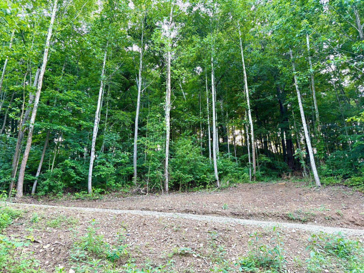 Carrs Run, Jackson Twp, OH, 45613 — photo 6
