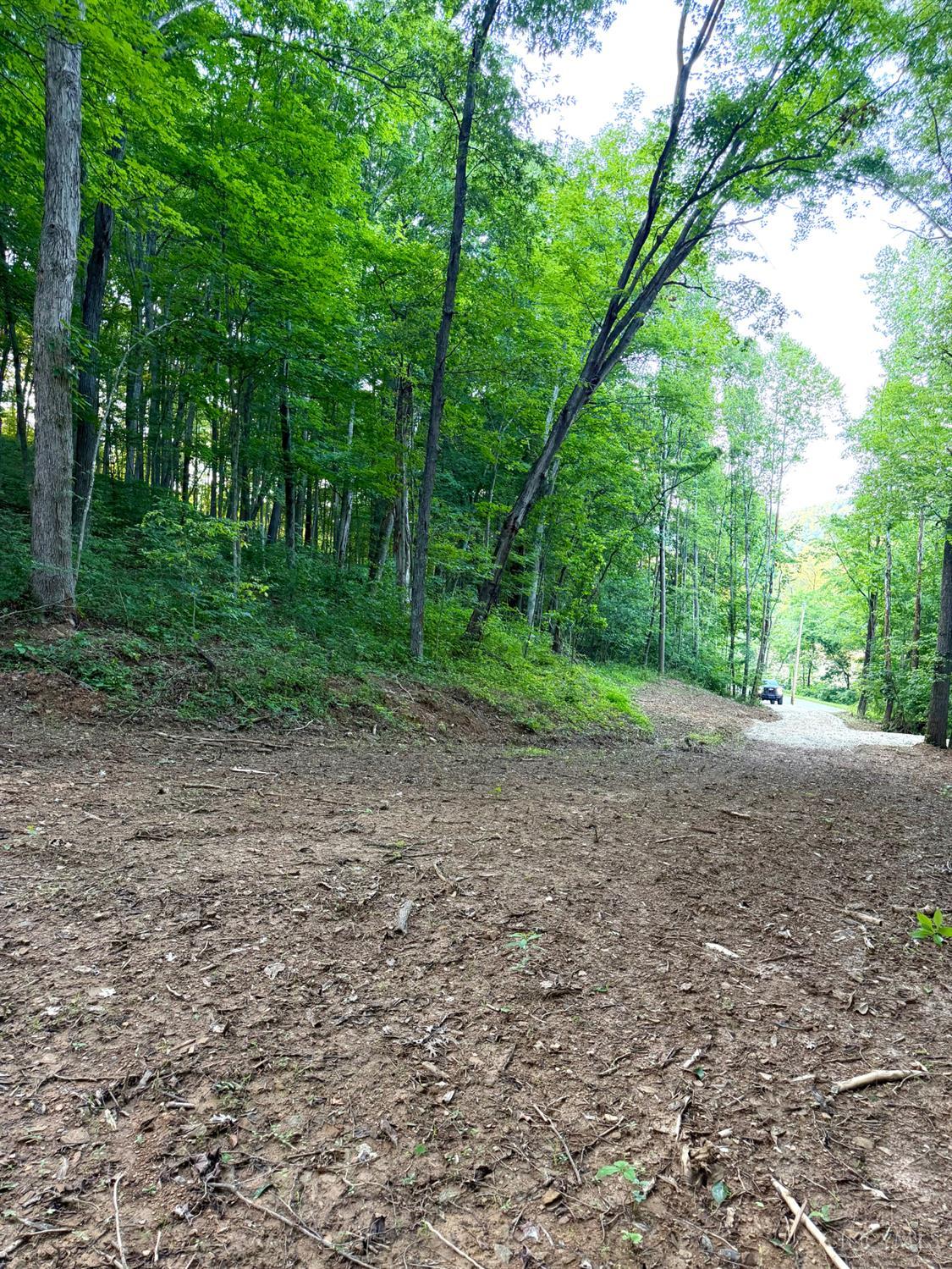 Carrs Run, Jackson Twp, OH, 45613 — photo 14