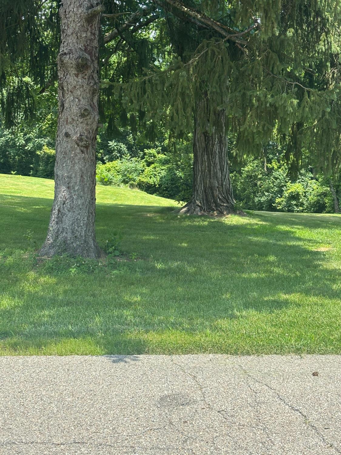 Cosmos Road, Deerfield Twp., OH, 45140