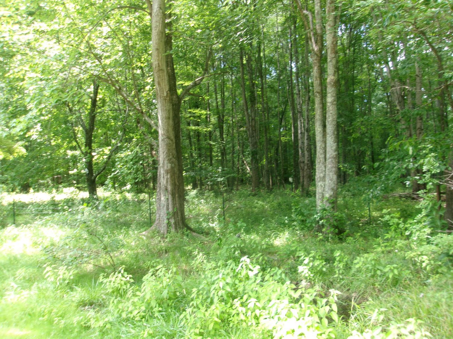 3477 Starling Road, Tate Twp, OH, 45106 — photo 25