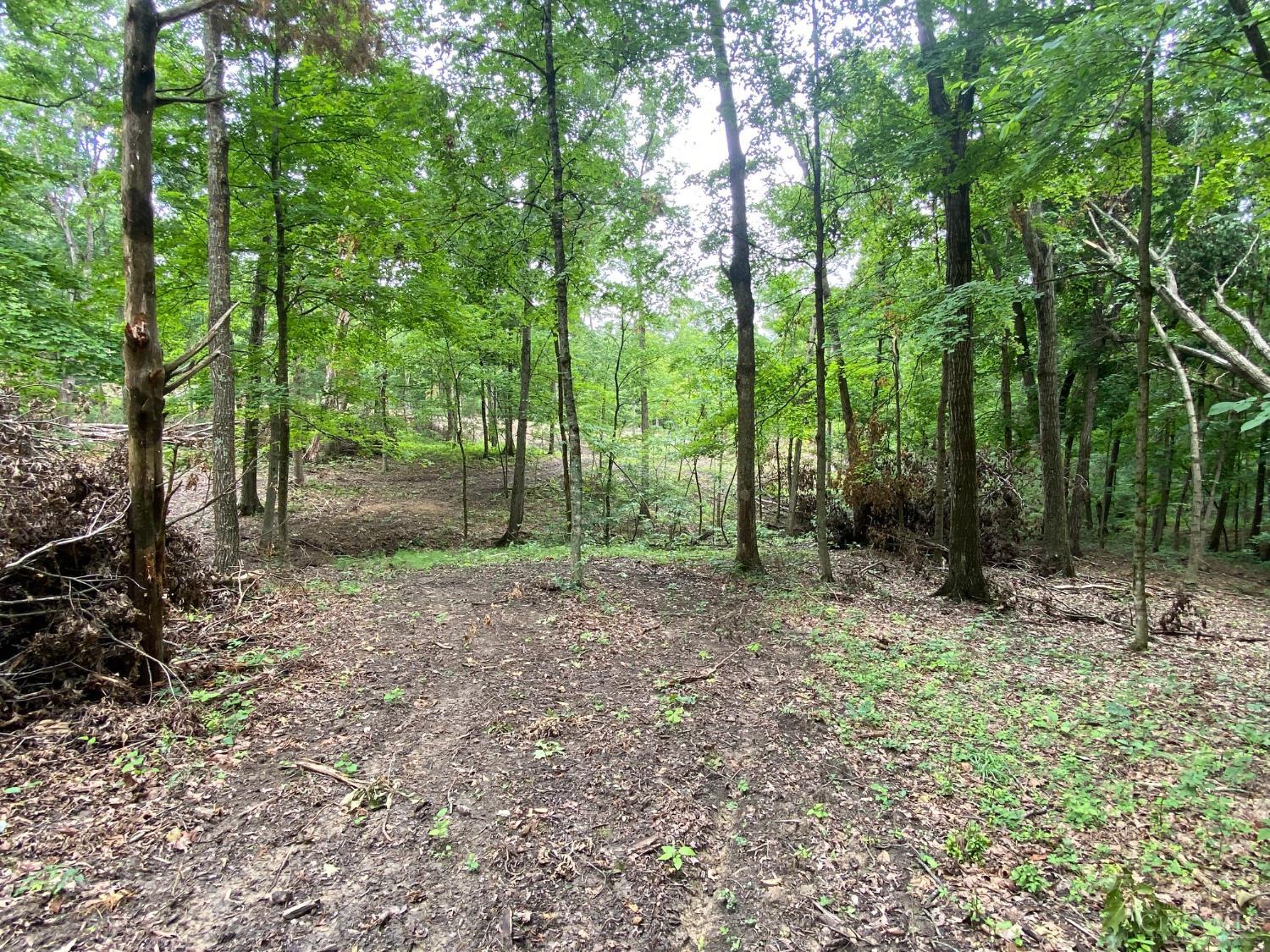 435 Rolling Woods Drive, West Union, OH, 45693 — photo 13